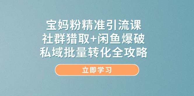宝妈粉精准引流课，社群猎取+闲鱼爆破，私域批量转化全攻略-SuoaBlog